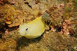 DSC02355.jpg
